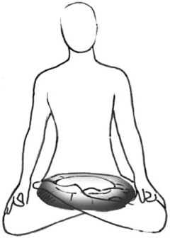 Zafu Yoga Sitting Meditation Cushion - Buckwheat Filling