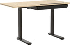 FLEXISPOT Electric Drafting Table Adjustable Height 47.2"x23.6" Standing Drawing Desk Extendable Top Craft Workstation w/Tilting Tabletop, Storage Drawer for Study, Office, Studio, Art, Adult & Kid