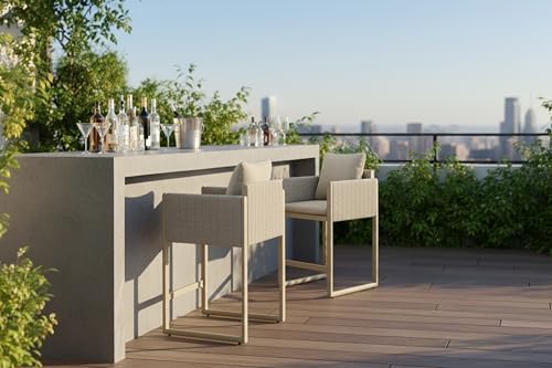 PURPLE LEAF Outdoor Bar Height Stools Set of 2 Aluminum Bar Chairs Modern Olefin Weaving Barstools with Backrest Pillow for Outdoor or Indoor Garden Balcony Lawn Champagne