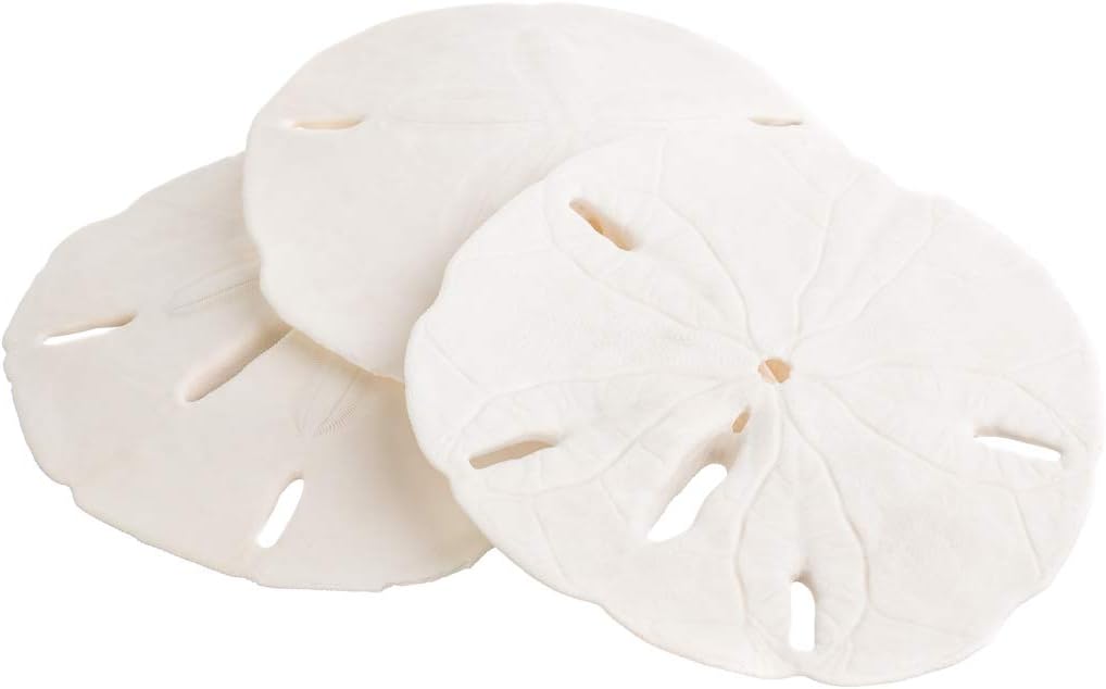 Real Sand Dollars 3" to 3.5" (3 Pack) – Sand Dollar Wall Art & Ornament Set – Beach Wedding Decor – Nautical Party Table Decor – Mini Shells for Crafts – Coastal Gifts