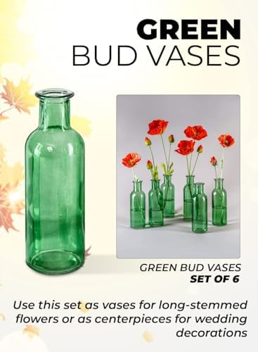 Serene Spaces Living Large Green Bud Vases, Apothecary Jars, Decorative Glass Bottles, Centerpiece for Wedding Reception, Antique Decoration, Flower Vases, 6.5" Tall & 2" Diameter, Pack of 48