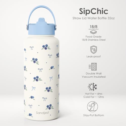 Blueberry Water Bottle Stainless Steel 32oz with Lid & Straw, Fruits Aesthetic Insulated Bottles Gifts for Girls Friends Teens Birthday Christmas