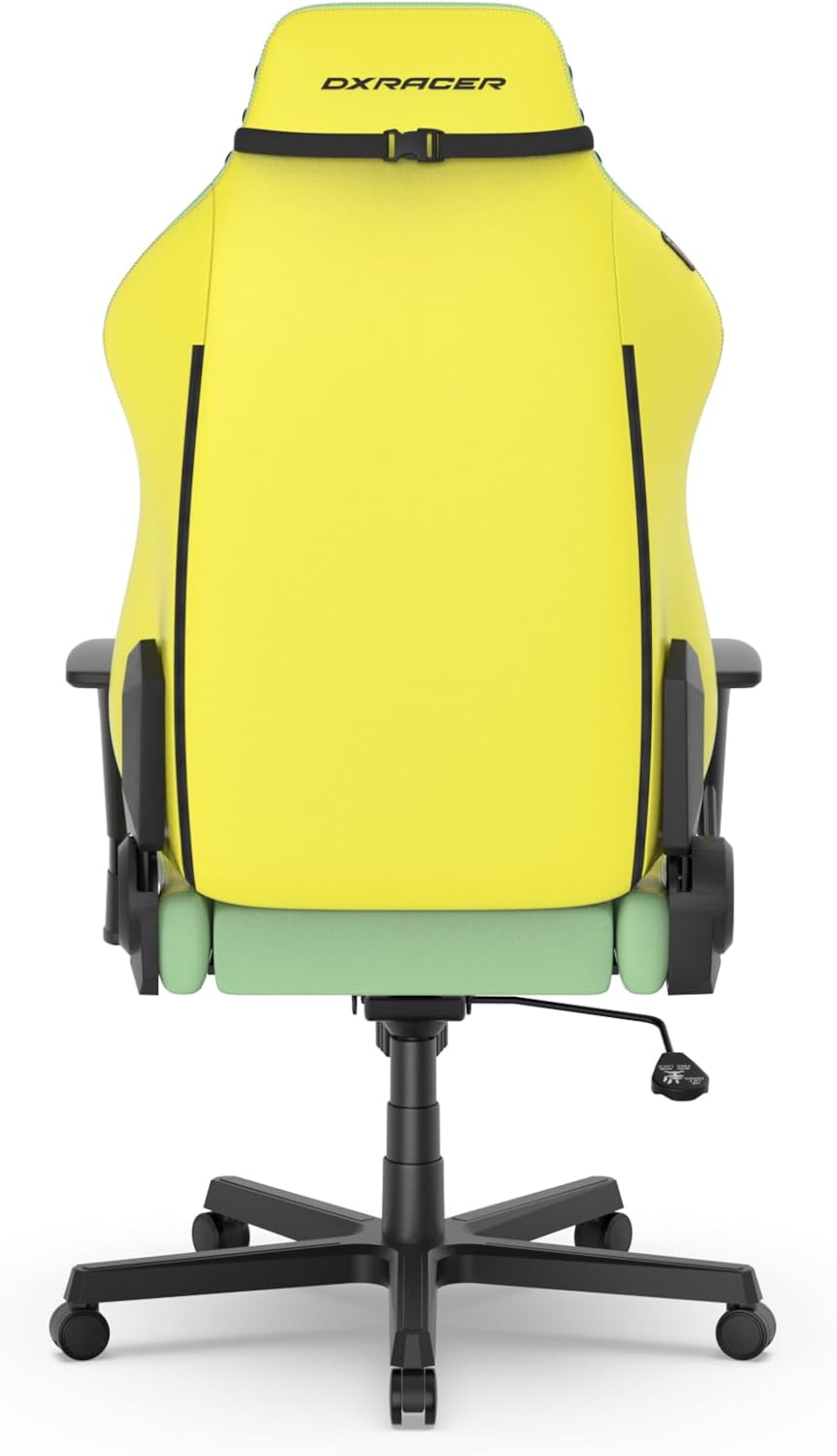 DXRacer Drifting L Ergonomic Video Gaming Chair with Lumbar Support and Headrest, Office Reclining Computer Chair for Adults (EPU Leatherette, Spring)