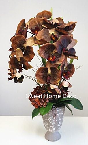 Sweet Home Deco Gel Coated Phanaenopsis Orchid Artificial Greenery Leaf with Realistic Roots Set of 2 (1, 10''L)
