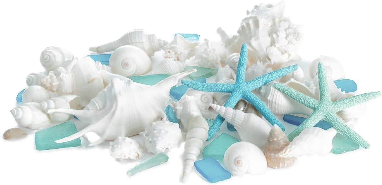 Nautical Crush Trading Sea Shells - White Real Mixed Beach Seashells (1lb) with Starfish & Sea Glass - Shells for Crafts - Ocean Decor - Beach Party Decorations - Seashell Decor - Large Shells Crafts