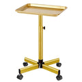 Salon Tray on Wheels, Gold Salon Rolling Tray with Adjustable Height, Hair Stylist Tray, Metal Service Instrument Storage Tray for Salon&Home Use, Suitable for Tattoo Tray and Dental Tray