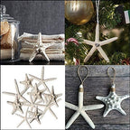 Nautical Crush Trading Starfish & Knobby Starfish Decor - (5) White Starfish 4-6" and (5) Knobby Starfish 2-3.5" - Beach Wedding Decor - Coastal Party Decorations - Seashell Decor