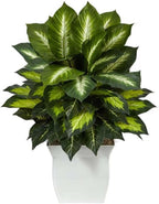 Nearly Natural 2ft. Golden Dieffenbachia Artificial Plant in White Metal Planter