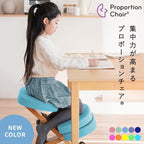 プロポーションチェア CH-N889CK NT/LGR Proportion Chair Focus Chair Posture Support with Supplementary Cushion Natural x Light Green