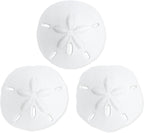Real Sand Dollars 3" to 3.5" (3 Pack) – Sand Dollar Wall Art & Ornament Set – Beach Wedding Decor – Nautical Party Table Decor – Mini Shells for Crafts – Coastal Gifts