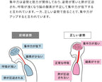 プロポーションチェア CH-N889CK NT/PK Proportion Chair for Focusing and Postural Support, Supplementary Cushion, Natural x Pink