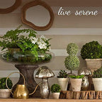 Serene Spaces Living Large Green Bud Vases, Apothecary Jars, Decorative Glass Bottles, Centerpiece for Wedding Reception, Antique Decoration, Flower Vases, 6.5" Tall & 2" Diameter, Pack of 48