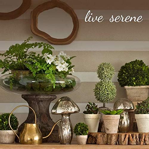Serene Spaces Living Large Green Bud Vases, Apothecary Jars, Decorative Glass Bottles, Centerpiece for Wedding Reception, Antique Decoration, Flower Vases, 6.5" Tall & 2" Diameter, Pack of 48