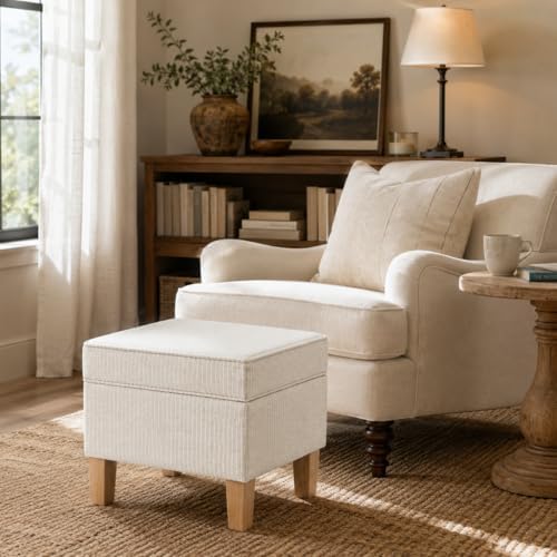 HomePop Home Decor | Upholstered Modern Rectangular Storage Ottoman | Hinged Lid Ottoman with Storage for Living Room & Bedroom, White Woven Stripe