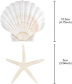 PPCLION 8 PCS Natural 4-5" Scallop Shell and Starfish for Crafts Making Beach Theme Party Wedding Decoration, Home Wall Decor, Christmas Ornaments