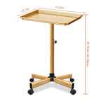 Retain Time Premium Aluminum Salon Tray, Sturdy Corrosion-Resistant Adjustable Tray is Used for Salon Tray on Wheels, Salon Tool/Color Tray, Beauty Spa Tray, Dentist Tray, Etc.…(Gold)