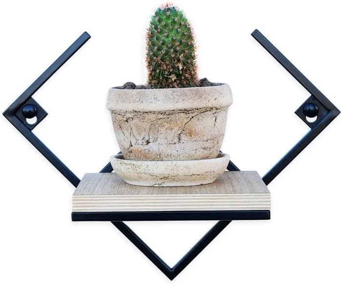 Modern Geometric Wall Mounted Floating Shelf, Black Metal Frame with Wood Board, Decorative Plant Shelf for Living Room Bedroom Bathroom, Small Display Shelf for Succulents Plants