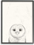 Stupell Industries Owl Portrait Grey Drawing Design, Designed by Victoria Borges Wall Art, 11 x 1.5 x 14, Black Framed