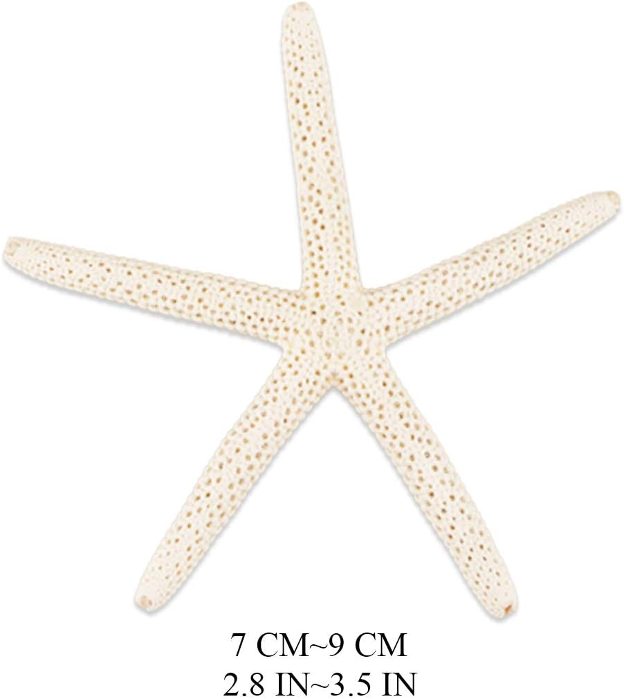 Jangostor 20 PCS Starfish, 2.5" to 4" Natural Seashells Starfish Star Fish Shells Decorations White Starfish Ornaments Perfect for Wedding Beach Theme Party Home Decorations, DIY Crafts, Fish Tank