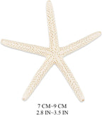 Jangostor 20 PCS Starfish, 2.5" to 4" Natural Seashells Starfish Star Fish Shells Decorations White Starfish Ornaments Perfect for Wedding Beach Theme Party Home Decorations, DIY Crafts, Fish Tank