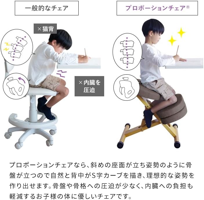プロポーションチェア CH-N889CK NT/LGR Proportion Chair Focus Chair Posture Support with Supplementary Cushion Natural x Light Green