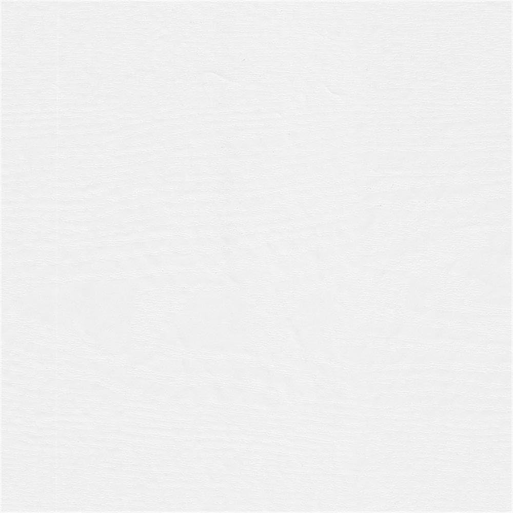 Bush Home Westbrook 60W Computer Desk Hutch in White Ash | Dining Room, Living Room, Home Office Storage