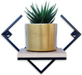 Modern Geometric Wall Mounted Floating Shelf, Black Metal Frame with Wood Board, Decorative Plant Shelf for Living Room Bedroom Bathroom, Small Display Shelf for Succulents Plants