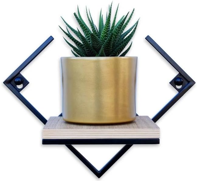 Modern Geometric Wall Mounted Floating Shelf, Black Metal Frame with Wood Board, Decorative Plant Shelf for Living Room Bedroom Bathroom, Small Display Shelf for Succulents Plants