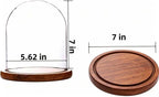 Dome with Base Glass Cloche Glass Cloche Bell Jar Display Dome with Wooden Base 6" x 7" (6 * 7)(1 Pack) (Burnt Wood)