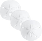 Real Sand Dollars 3" to 3.5" (3 Pack) – Sand Dollar Wall Art & Ornament Set – Beach Wedding Decor – Nautical Party Table Decor – Mini Shells for Crafts – Coastal Gifts