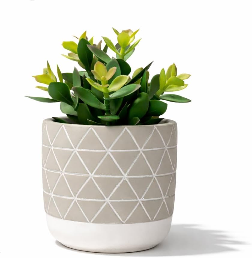 Kurrajong Farmhouse 8" high Artificial Plant in Pot - Small Faux Plant for Desk, Kitchen, Bathroom, Shelf & Coffee Table - Realistic Indoor Plant for Home Decor