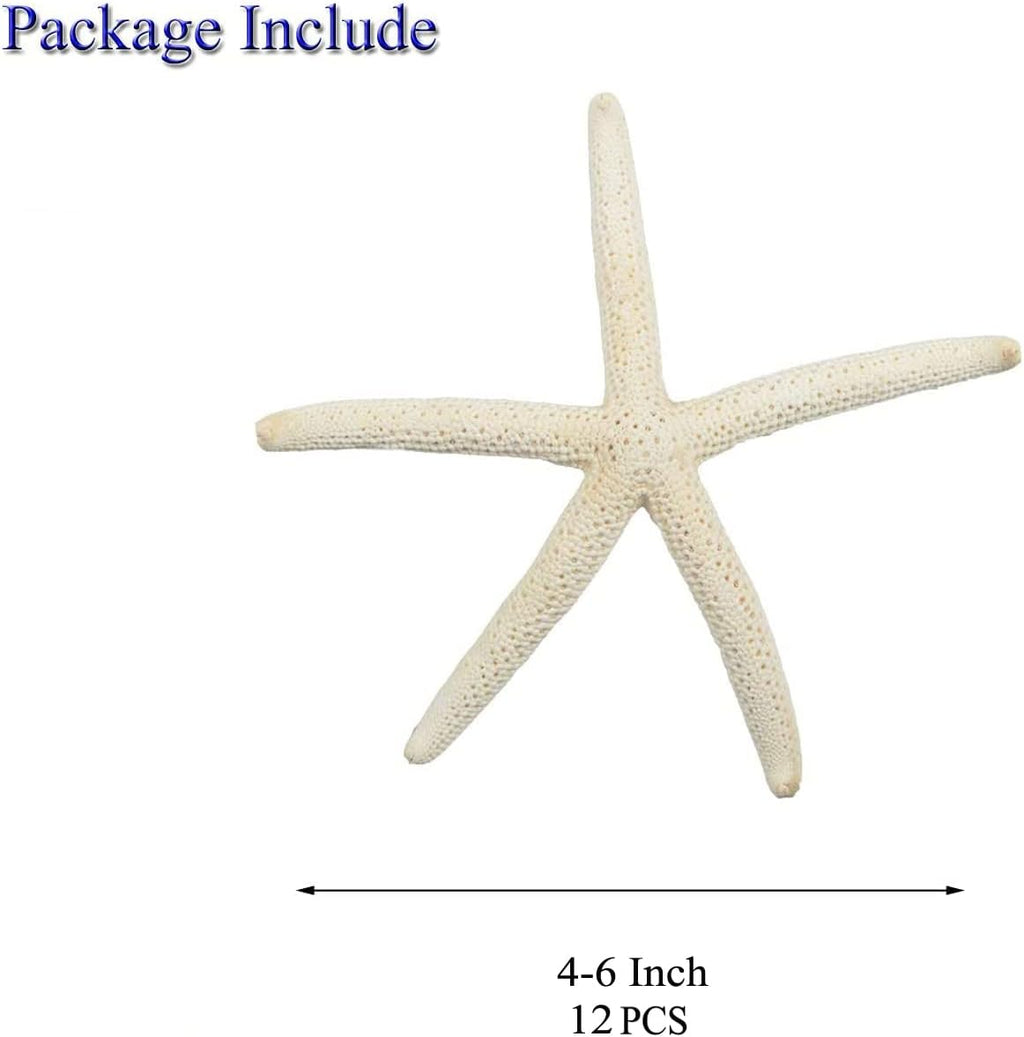 Jangostor 12 PCS Starfish 4-5 Inch Ocean Beach Starfish Natural Colorful Seashells Starfish Perfect for Wedding Decor Beach Theme Party, Home Decorations,DIY Crafts, Fish Tank