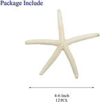Jangostor 12 PCS Starfish 4-5 Inch Ocean Beach Starfish Natural Colorful Seashells Starfish Perfect for Wedding Decor Beach Theme Party, Home Decorations,DIY Crafts, Fish Tank
