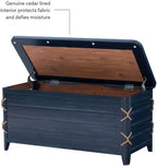Linon Zana Cedar Lined Storage Chest with Rope Detail in Blue Distressed Wood
