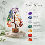 Crocon® 7 Chakra Crystal Tree of Life, Healing Crystals Tree 10-12 Inch, Birthday Gift for Women, Feng Shui, Money Trees, Positive Energy, Good Luck, Home Office Decor, Spiritual Gifts for Women