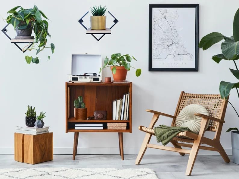 Modern Geometric Wall Mounted Floating Shelf, Black Metal Frame with Wood Board, Decorative Plant Shelf for Living Room Bedroom Bathroom, Small Display Shelf for Succulents Plants