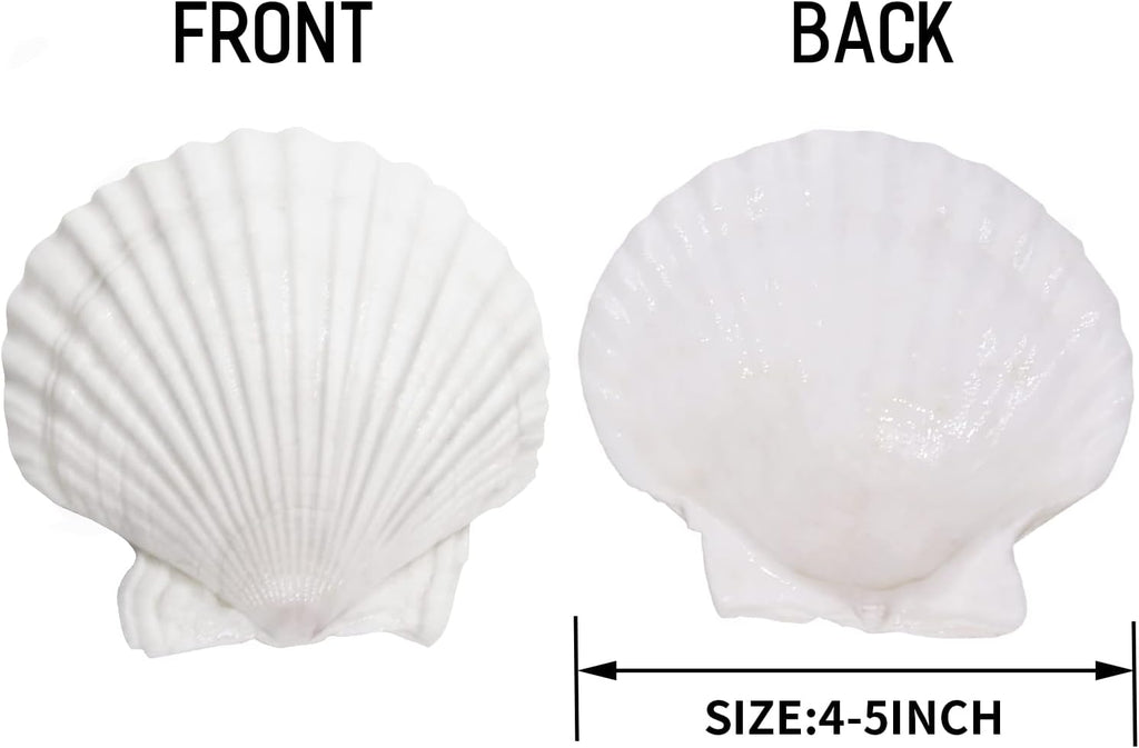 Giftvest 10PCS Sea Shells White Scallop Shells for Crafts Baking Cooking Serving Food, 4-5 inch Large Natural Seashells for DIY Crafts Seashell Beach Decorations for Home Decor