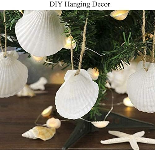 SEAJIAYI 30 PCS Scallop Shells 2-3 Inch Natural White Sea Shells from Sea Beach for DIY Craft Home Décor(6-8 cm)