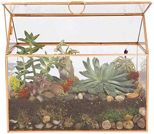 D'Eco Glass House Centerpiece (10x6x8)- Tabletop Planter Terrarium- Spring Home Decor & Wedding Letterbox - Fill with Succulents, Cacti, Air Plants, Moss, Flowers for Plant Lovers