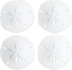 Real Sand Dollars 3" to 3.5" (4 Pack) – Sand Dollar Wall Art & Ornament Set – Beach Wedding Decor – Nautical Party Table Decor – Mini Shells for Crafts – Coastal Gifts