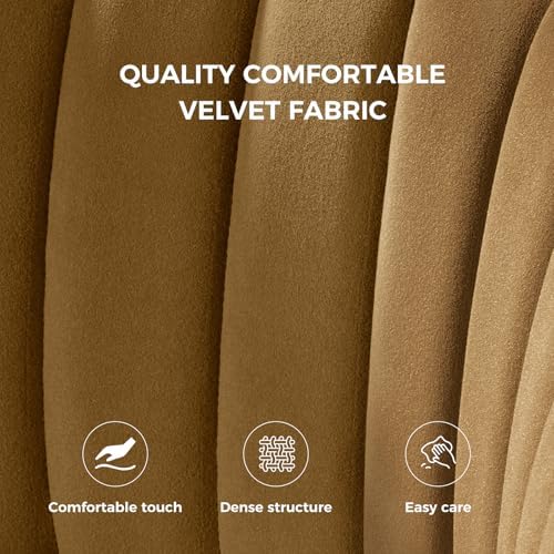 TINA'S HOME Velvet Dining Chairs Set of 2, Modern Upholstered Side Chair with Golden Legs, Small Cute Armless Accent Chair for Living Room, Kitchen, Bedroom, Beauty Room, Golden