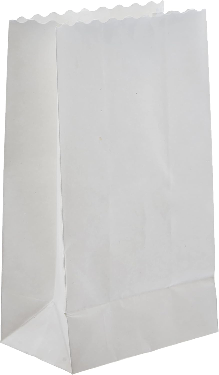 folia 12400 – Light Bags Made of Flammable Paper, Blank, Pack of 5, Each Approx. 24.5 x 14 x 8.5 cm, for DIY Table Decoration, for Garden Parties, Birthdays, Weddings