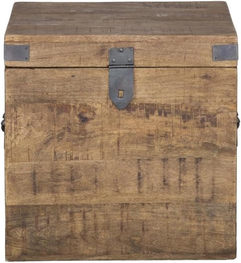 Kosas Home Livingston 18" Square Solid Mango Wood & Iron Trunk in Natural Brown