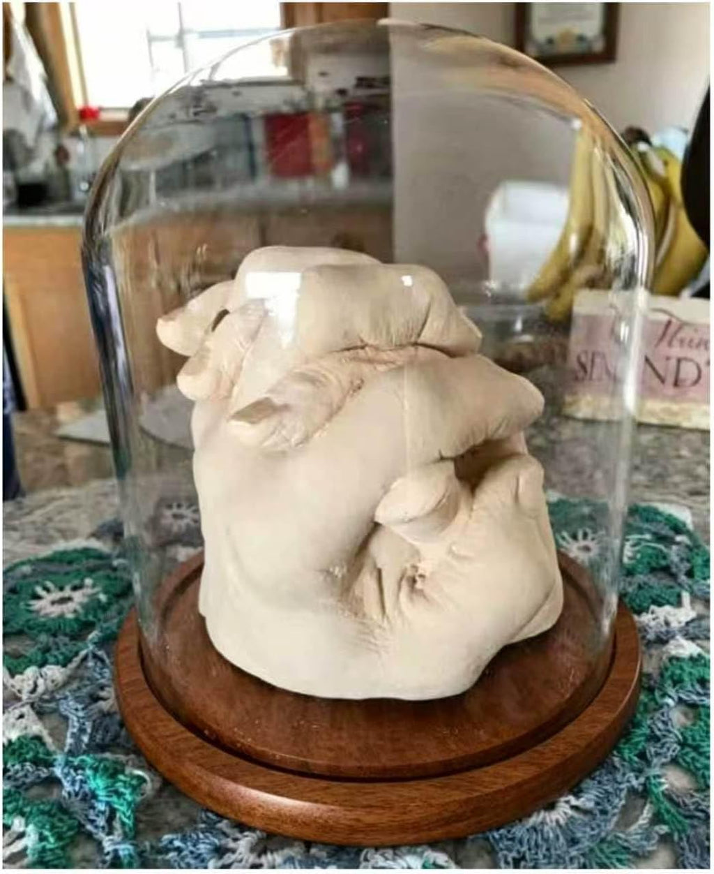 Dome with Base Glass Cloche Glass Cloche Bell Jar Display Dome with Wooden Base 6" x 7" (6 * 7)(1 Pack) (Burnt Wood)