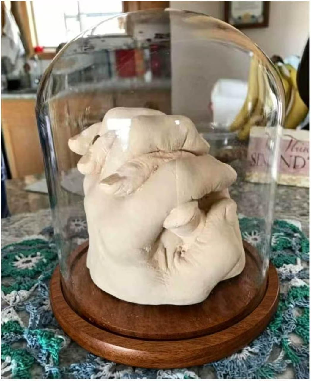 Dome with Base Glass Cloche Glass Cloche Bell Jar Display Dome with Wooden Base 6" x 7" (6 * 7)(1 Pack) (Burnt Wood)