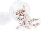 Super Z Outlet Tiny Miniature Fairy Garden Beach Critter Seashells Marine Life Collection for Vase Filler (2 Tbsp Pack)