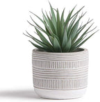 Kurrajong Farmhouse Artificial Plant | 8" Fake Plant for Desk Decor | Artificial Succulent in Pot | Fake Succulent | Faux Plant Indoor | Artificial Greenery for Shelf Decor