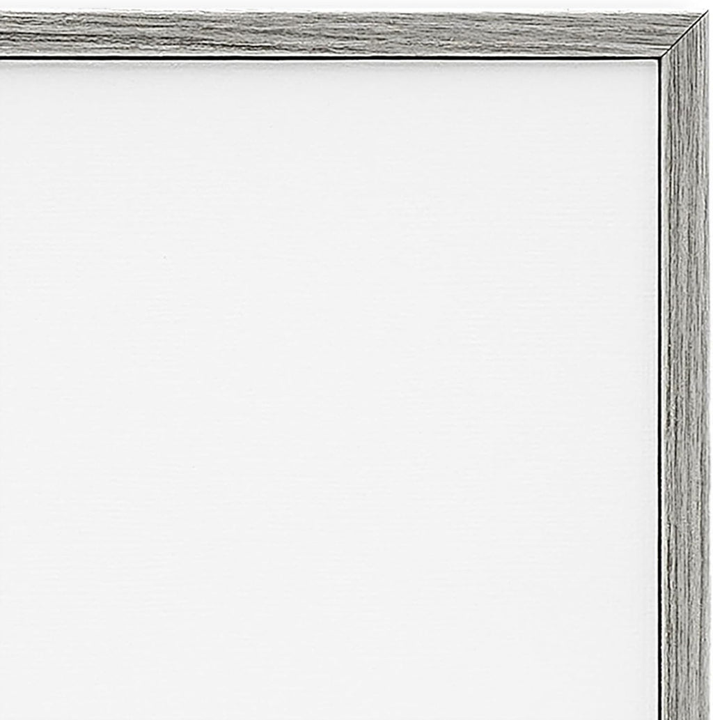 Stupell Industries 'Scientific Botanical Fern Drawing', Framed Giclee Art, Gray, 11 x 14 Inches, Easy to Hang and Sturdy, Made in USA, by Lettered and Lined