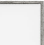 Stupell Industries 'Scientific Botanical Fern Drawing', Framed Giclee Art, Gray, 11 x 14 Inches, Easy to Hang and Sturdy, Made in USA, by Lettered and Lined