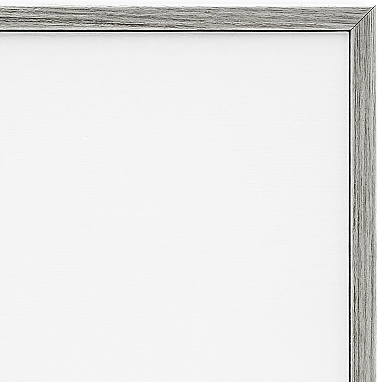Stupell Industries 'Scientific Botanical Fern Drawing', Framed Giclee Art, Gray, 11 x 14 Inches, Easy to Hang and Sturdy, Made in USA, by Lettered and Lined